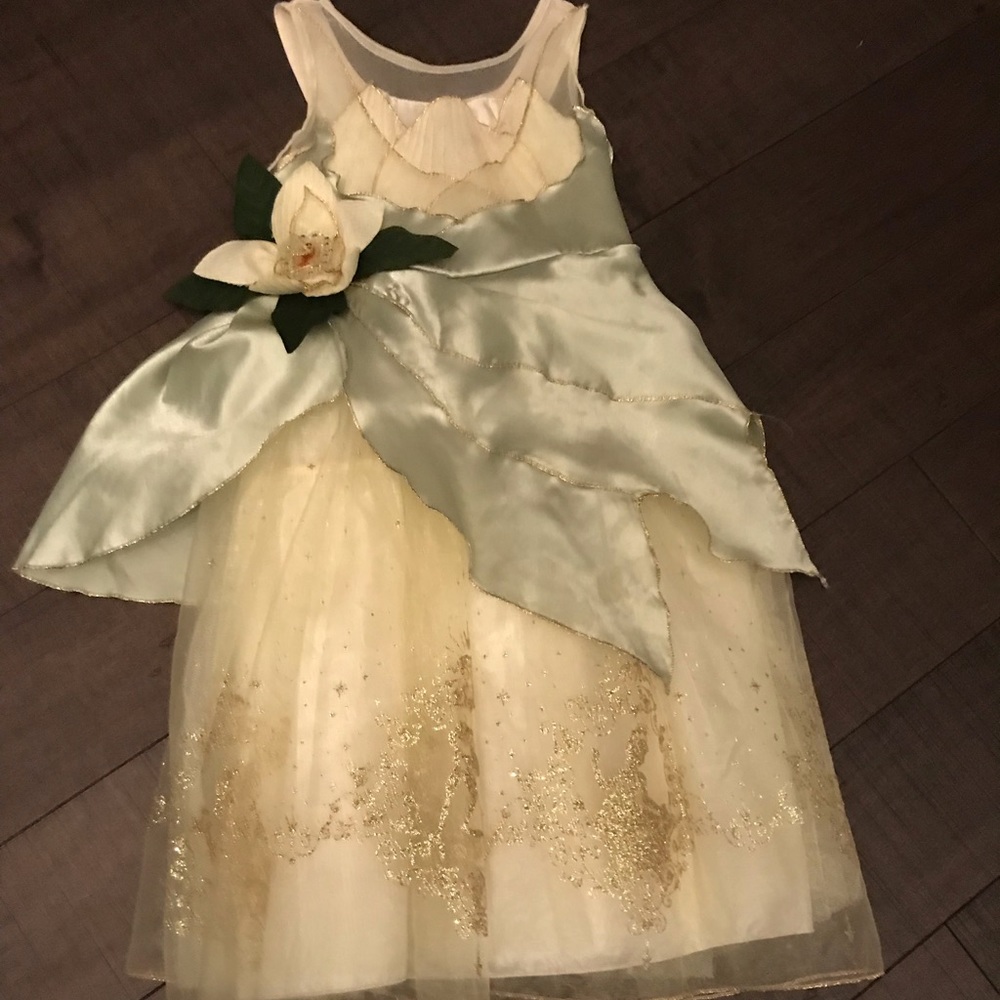 Princess Tiana (Frog Prince) Dress